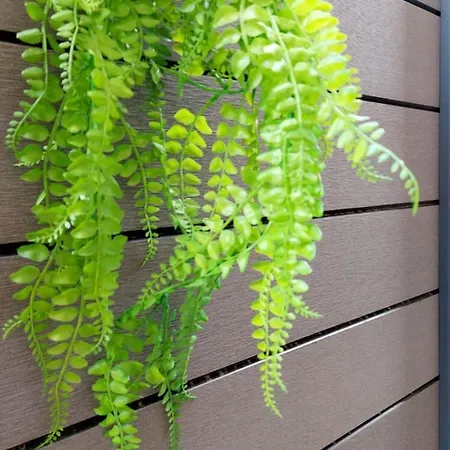 Petite Maison Elegante Monolocale Con Terrazza * Chiavari