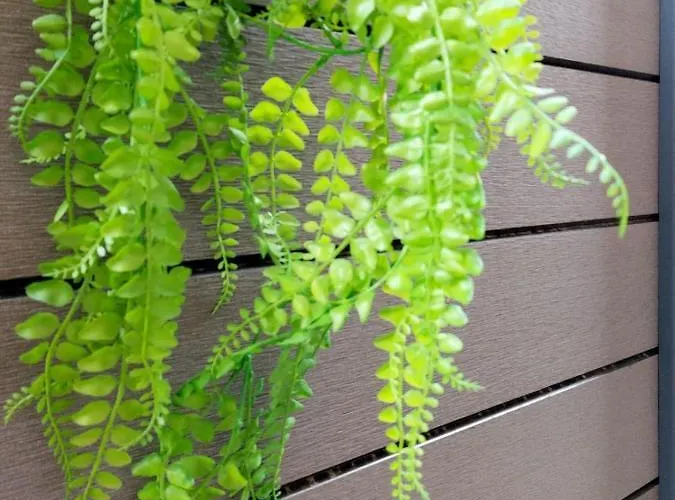 Petite Maison Elegante Monolocale Con Terrazza * Chiavari
